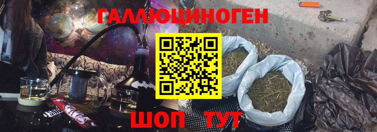 Псилоцибиновые грибы Psilocybine cubensis Оренбург