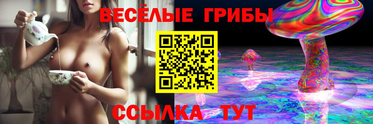 Псилоцибиновые грибы GOLDEN TEACHER  где купить наркотик  Оренбург  Галлюциногенные грибы MAGIC MUSHROOMS  Вход с VPN 